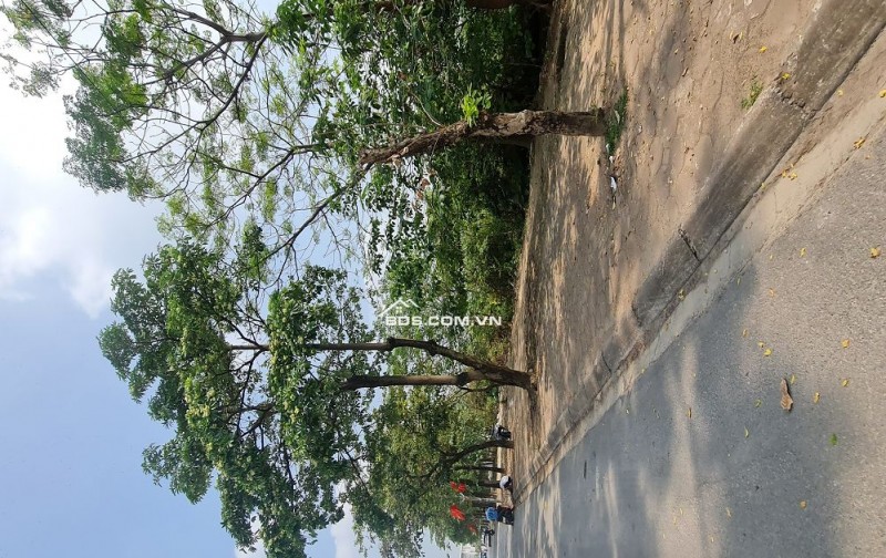 202m2 đất Gia Lâm, Hà Nội. Đường ô tô, thông 2 trục lớn. Khuôn đẹp, giá đầu tư. Lh 0989894845